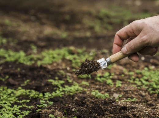 Imagem Tecnologias sustentáveis em sistemas de produção e uso do solo e água